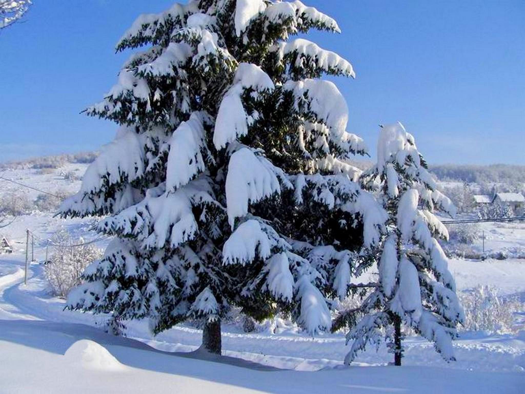 House Josipa Hotel Rakovica Kültér fotó